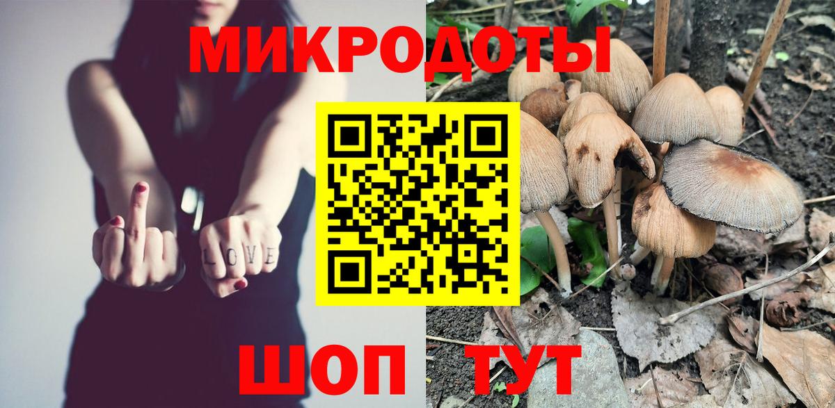 Наро-Фоминск  Псилоцибиновые грибы Cubensis  как найти   Вход с VPN 